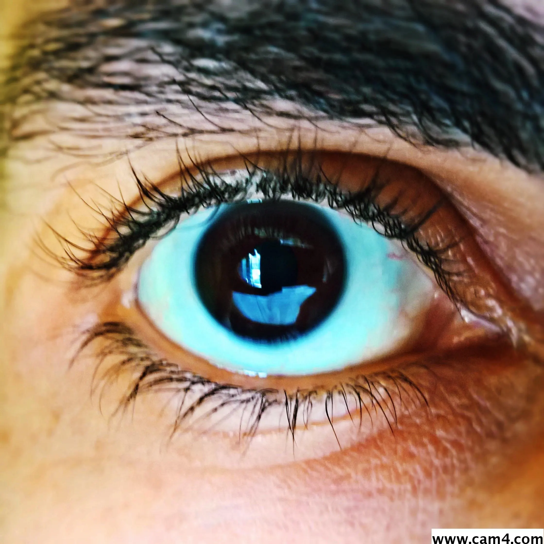 significadox image 0